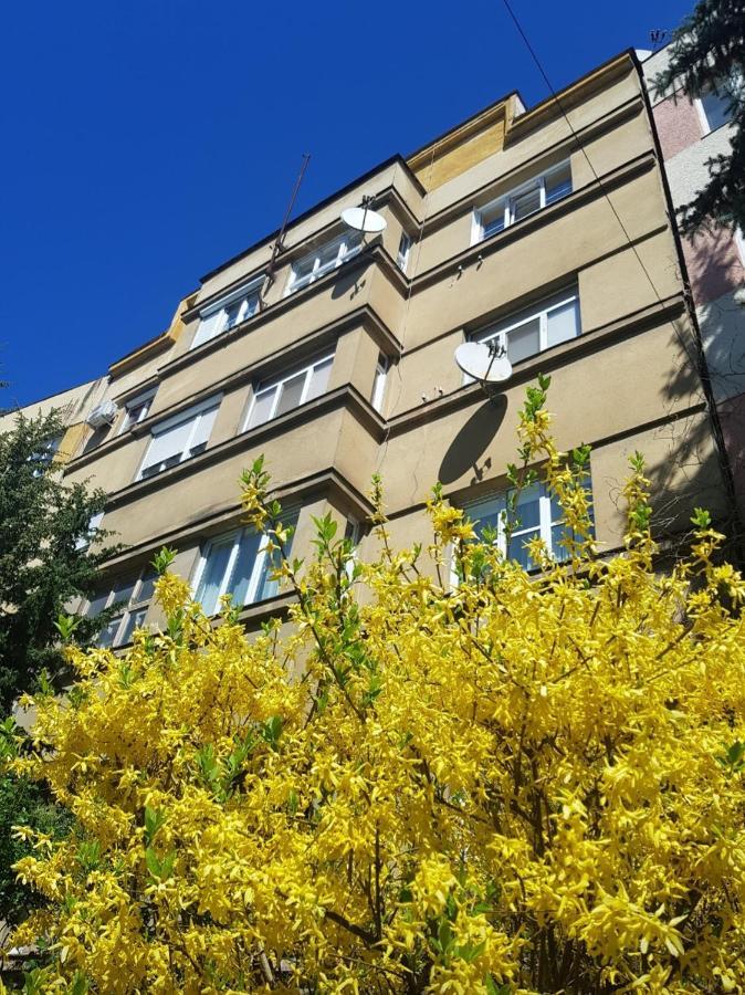 Затишні Смарт-Квартири В Історичному Центрі! Apartment Uzhhorod Ngoại thất bức ảnh